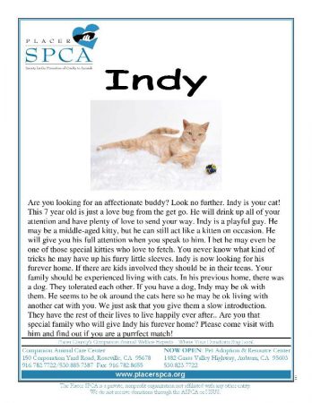 Indy