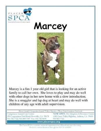 Marcey