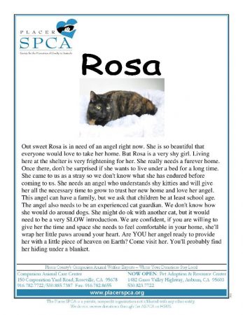 Rosa