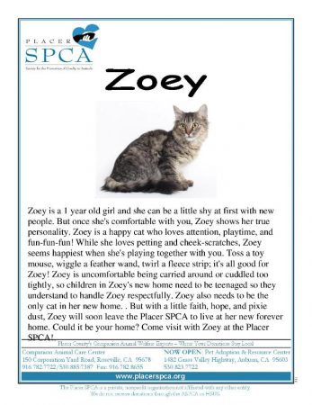 Zoey
