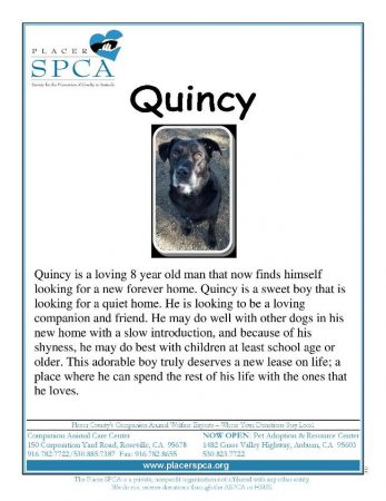 Qunicy