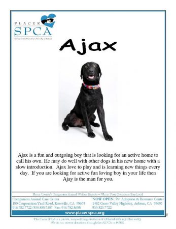 Ajax