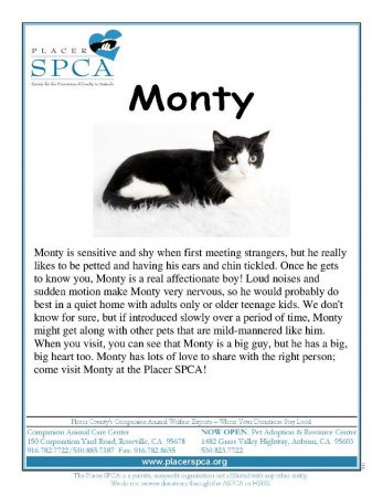 Monty