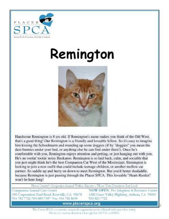 Remington