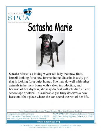 Satasha Marie