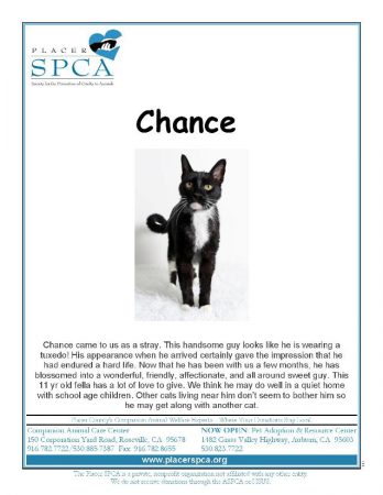 Chance