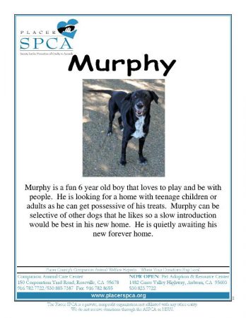 murphy