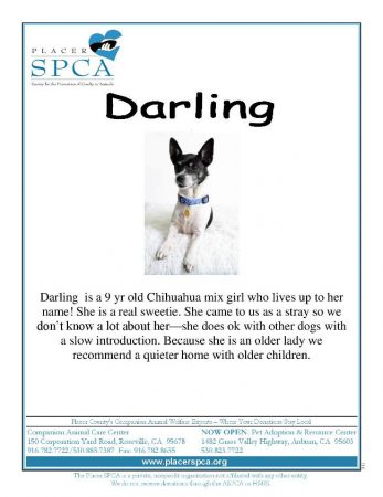 Darling