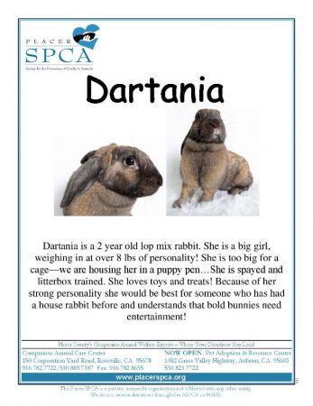 dartania