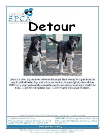 detour