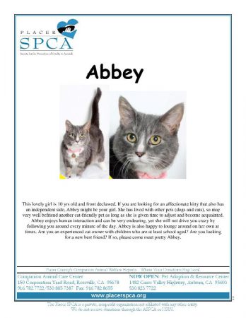 abbey