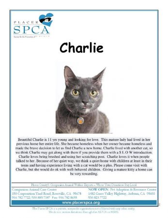 charlie