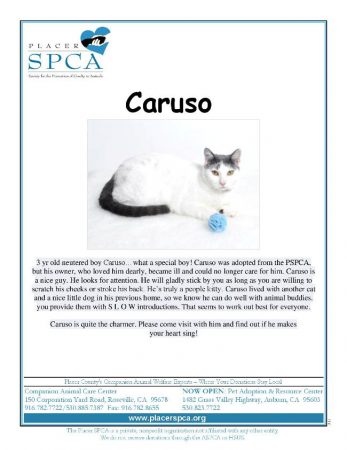 caruso