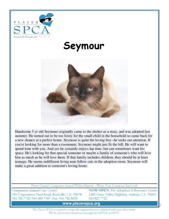seymour-page-001-2