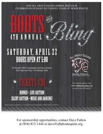 April 22 Boots and Bling