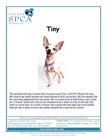Tiny-page-001