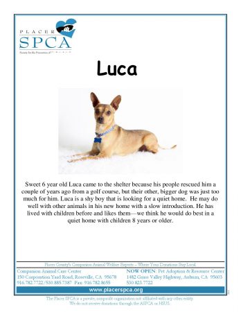 luca