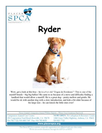 ryder