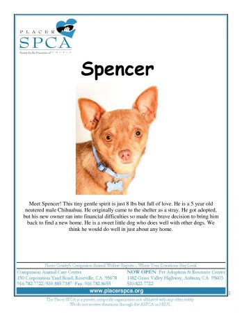 Spencer-page-001