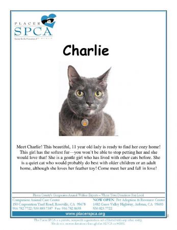 Charlie