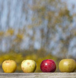 Crispin Cider Closing in Colfax