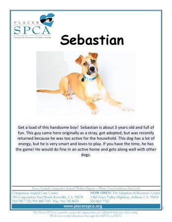 sebastian