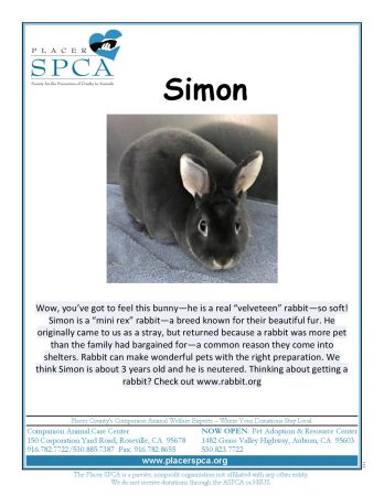 simon
