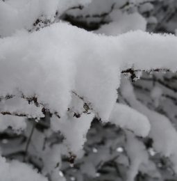 Snow Levels Higher After Recent Storm, But Still Below Average