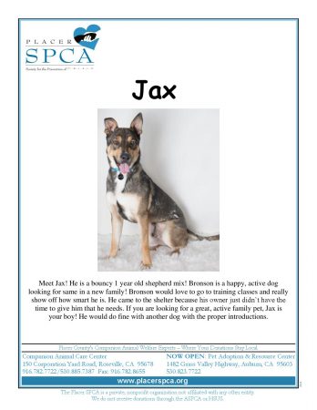 jax-page-001
