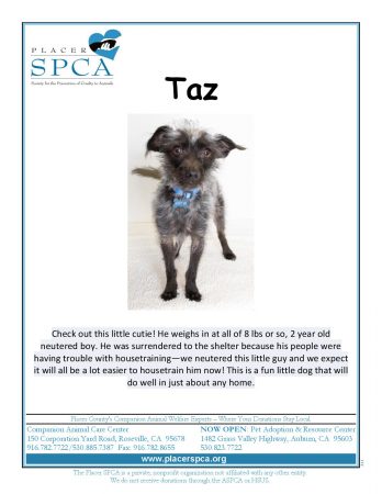 taz-page-001