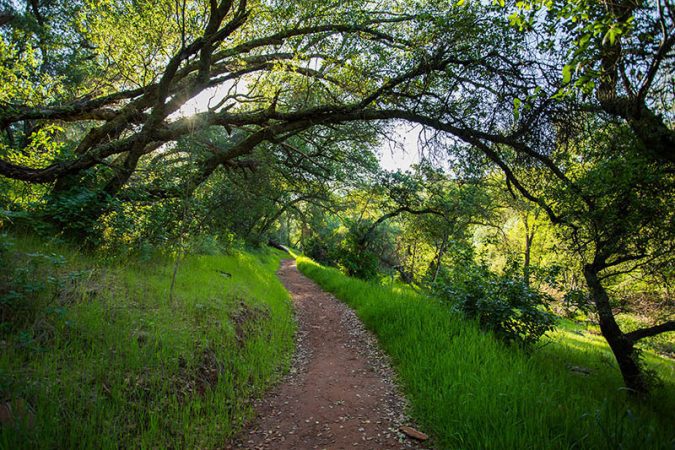 trail