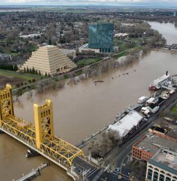 Tower Bridge Repair Delayed