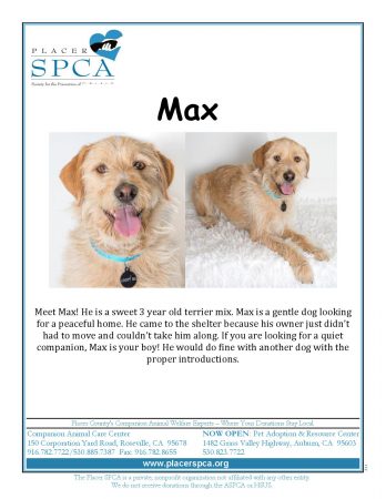 max