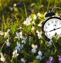 Spring Forward, Fall Back May Be Over!