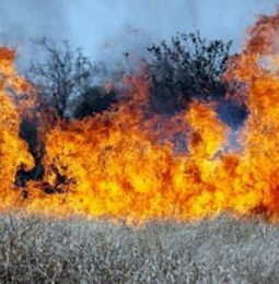 Grass Fire Near Sac Airport