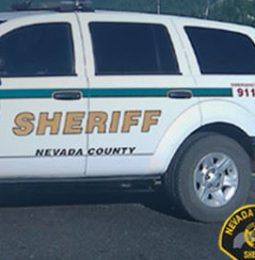 More Remains Found In Nevada City