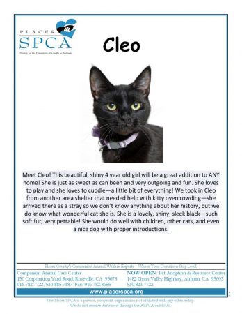 cleo
