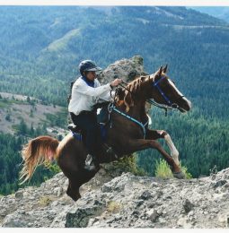 36th Tevis Run This Weekend!