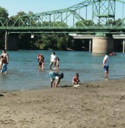 E.Coli Levels High in Lower American River!