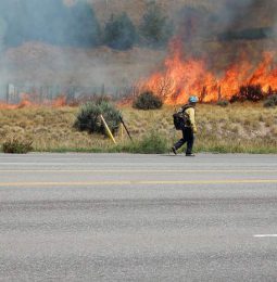Grass Fire at New Castle Caused By Catalytic Converter!