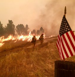 WILD FIRE Update!