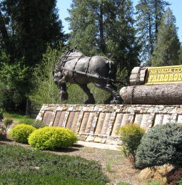 Nevada County Fair Opens Wednesday-Sunday