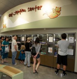 New SPCA Center in Roseville Sheltering CARR Fire Dogs!