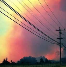 Lawmakers Move Legislation on PG&E Liability!