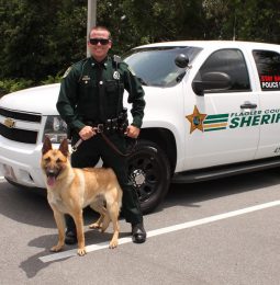 Placer County Sheriff’s Arrest 4 After AT&T North Auburn Robbery!