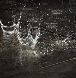 Rain Drops At Last!