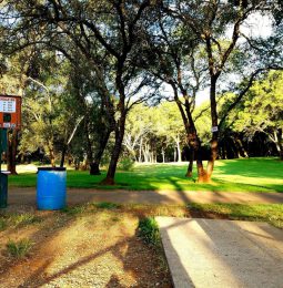 Four Found At Regional Park OD!