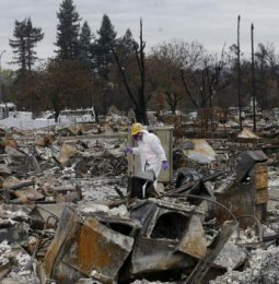 Butte Fire Clean Up Cost Three Billion $!
