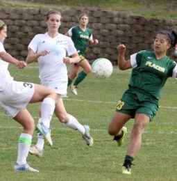 Another Placer High Coach Benched!