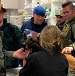 Two Dead, K-9 wounded, in a Trail of Chaos in South Placer County Tuesday Night!